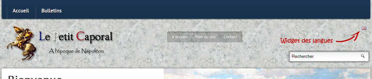 Affichage du widget de langues sur le site.